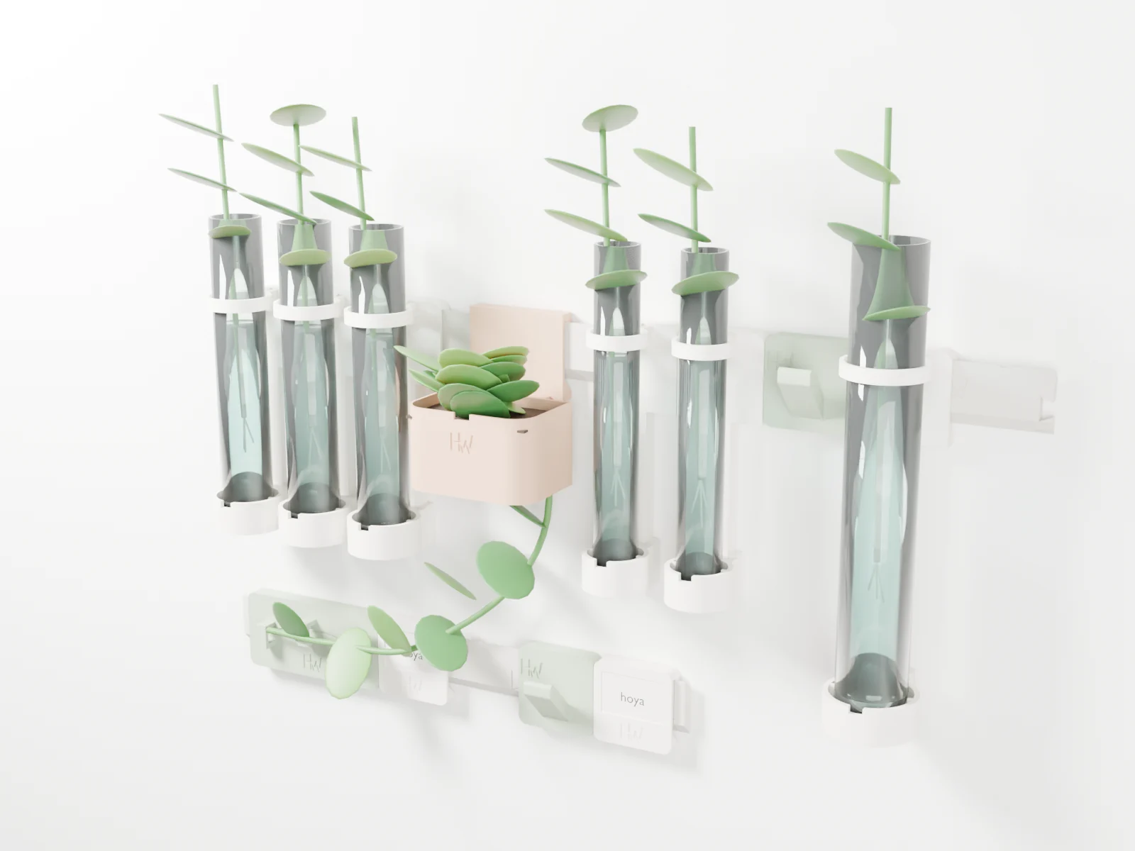 3D render of a plant wall: rails with test-tube holders holding cuttings, a small planter, vine hooks and labels